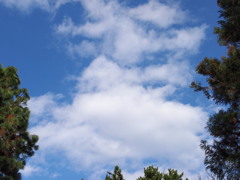 青空と雲