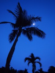 P1010410