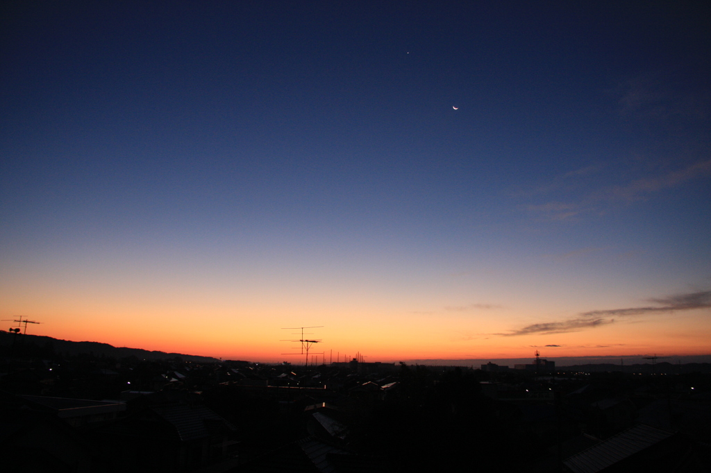 朝