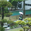 雨だって悪くないね!