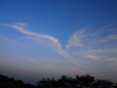 Bird of cloud