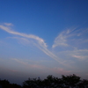 Bird of cloud