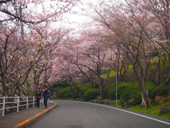 手をつないで