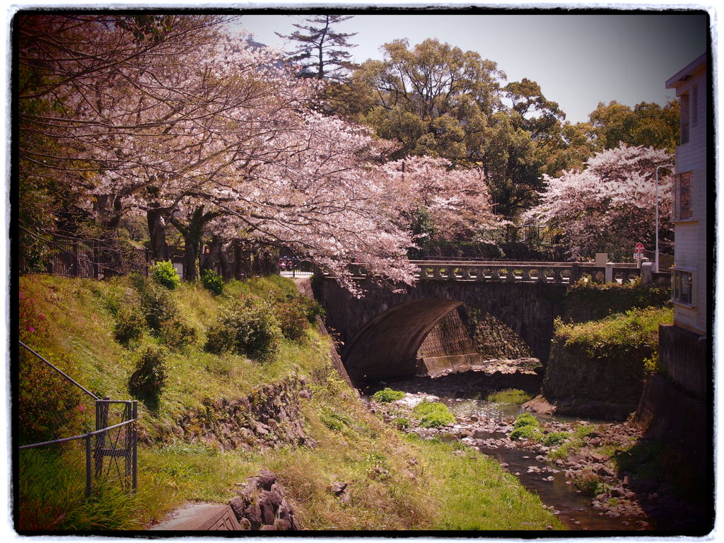 すきな景色