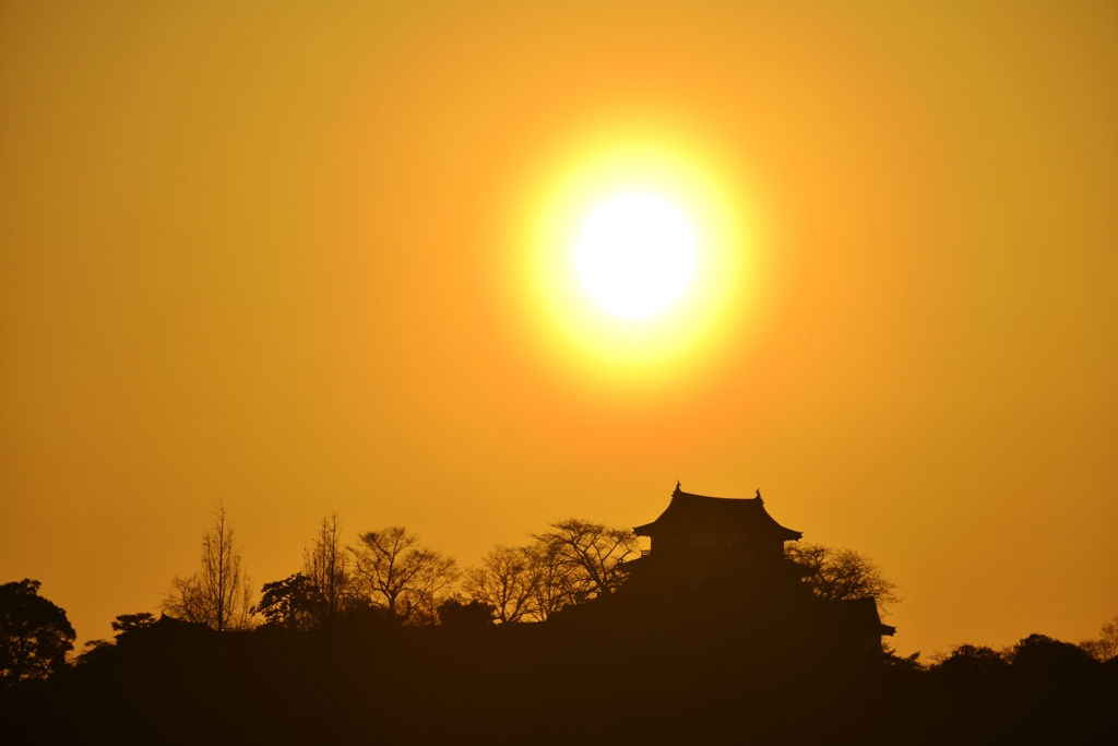 国宝彦根城の春夕日