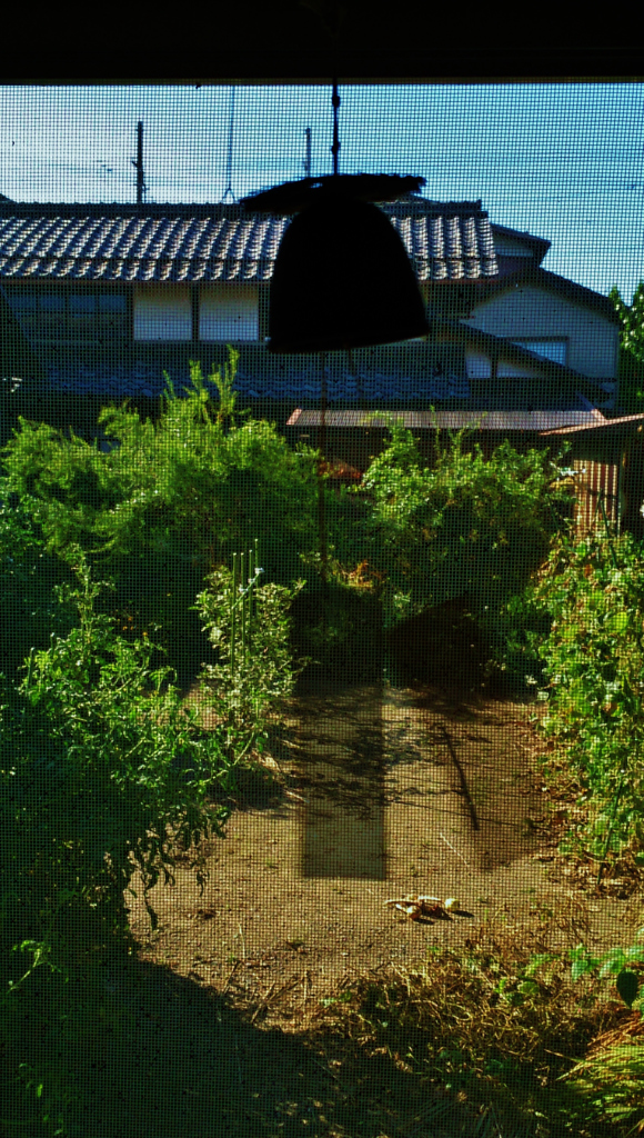 風鈴の涼風
