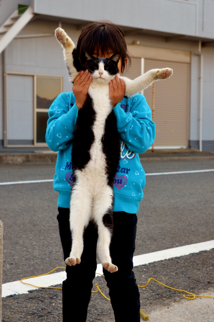 ニャンとも恥ずかしい