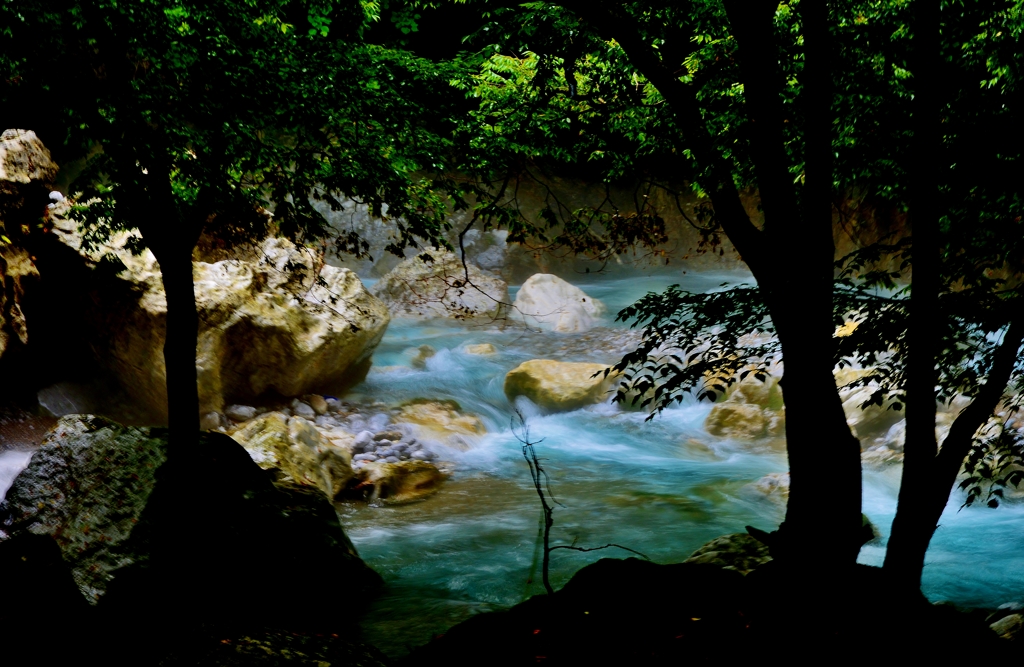 渓流・芹川