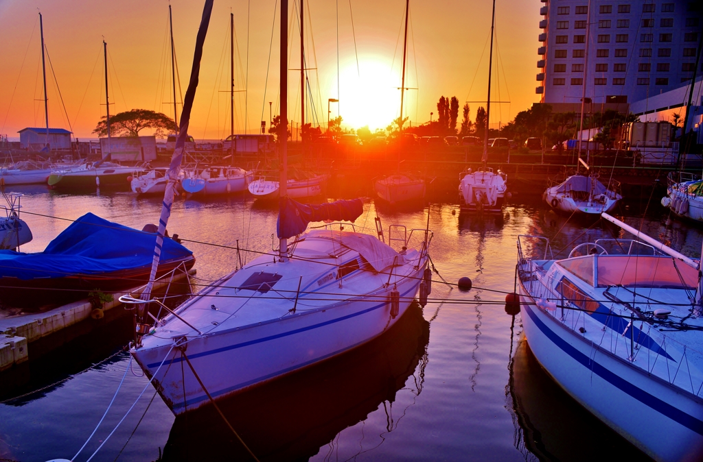 Sunset of yacht harbor