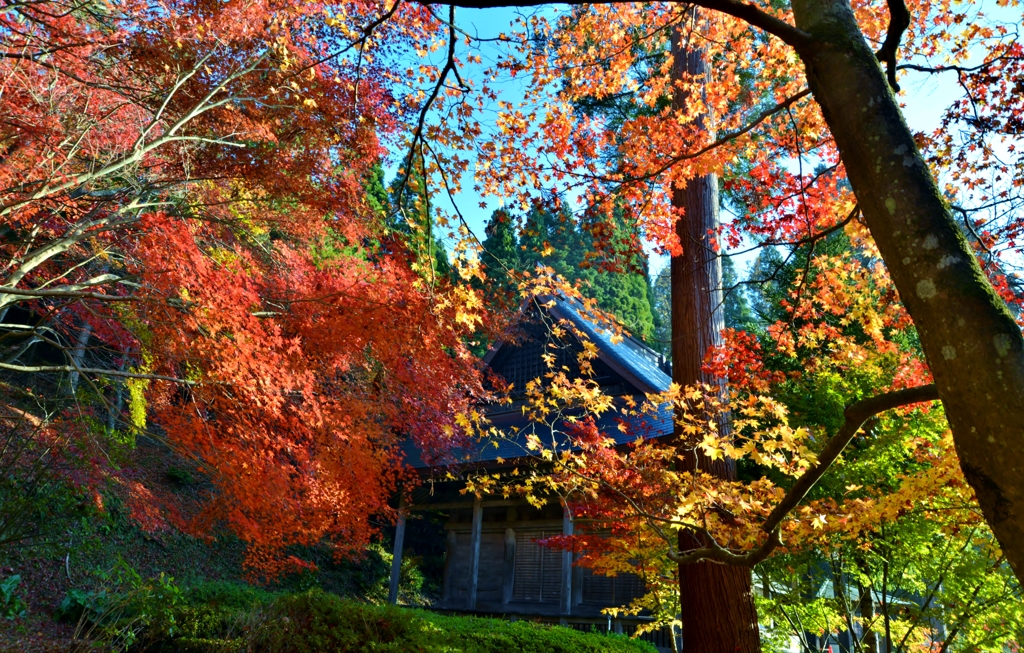 石道寺紅葉