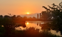 Sunrise Noda Swamp