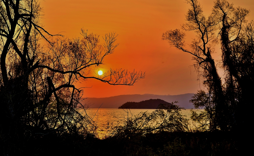 竹生島夕春