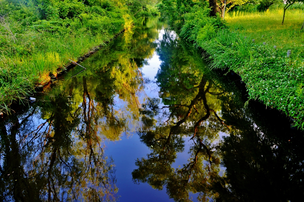 小さな風景