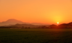Morning landscape
