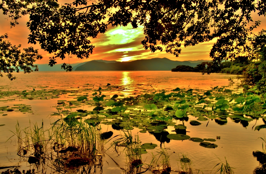 琵琶湖・湖北夏夕景