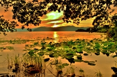 琵琶湖・湖北夏夕景
