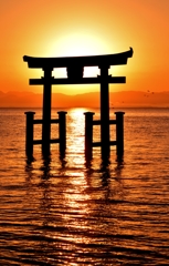 Sunrise of torii at lake　Ⅳ