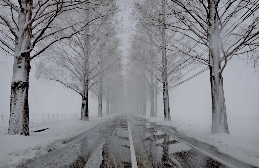 雪影