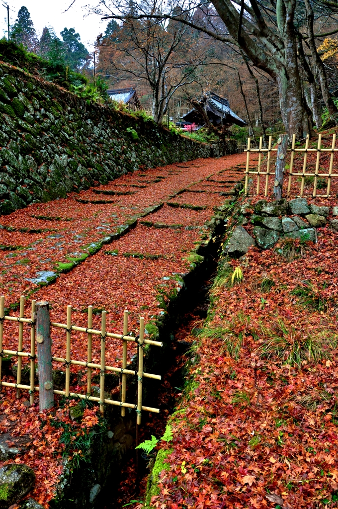 湖東三山百済寺