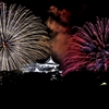 彦根城の夜空の花
