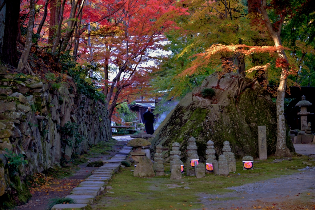 秋の寺