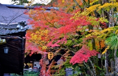 石山寺秋ぶらり　5　紅葉