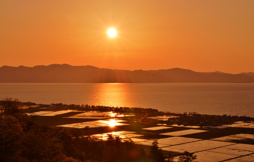 夕景の琵琶湖湖辺の水田