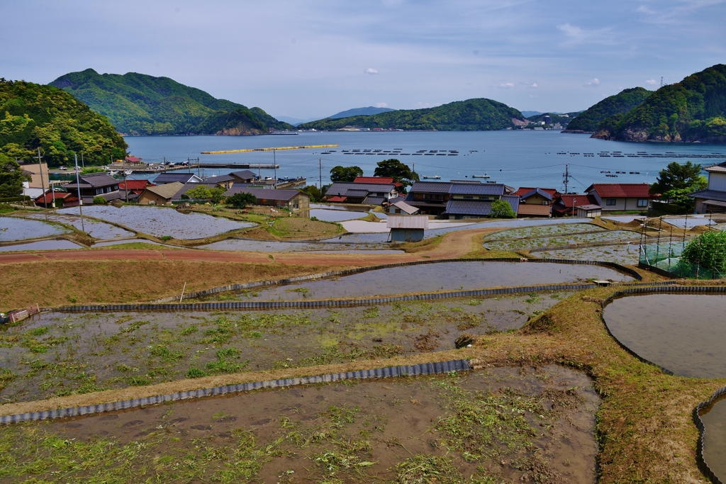 日引の棚田寸景　9-3