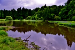 平池