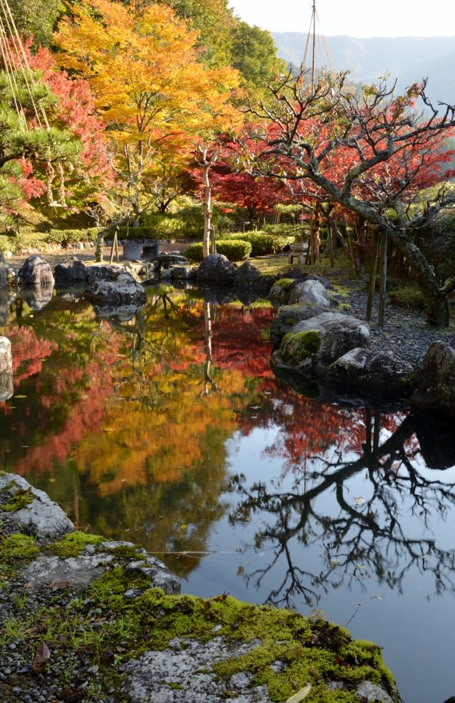 映し紅葉