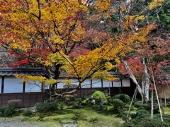 湖東三山西明寺　3-2