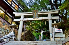 竹生島神社鳥居