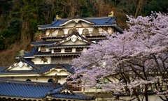 珍景　佐和山遊園　5-2