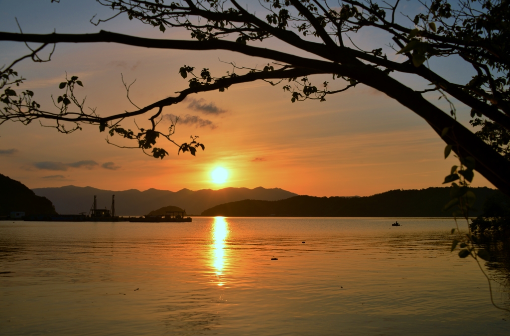夕日に佇む