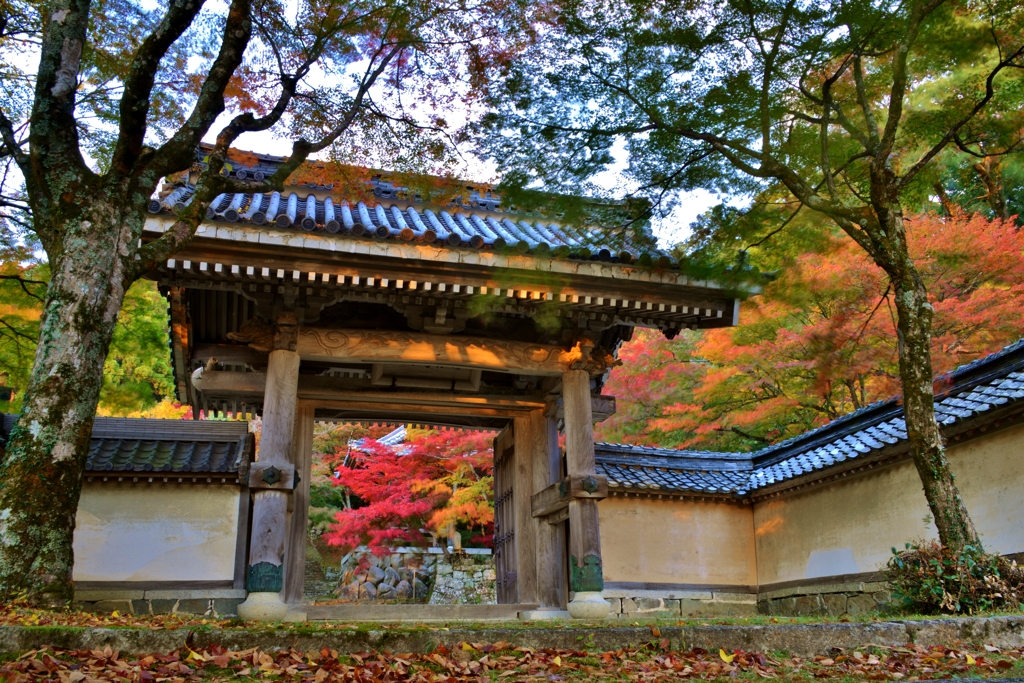 東光寺山門紅葉