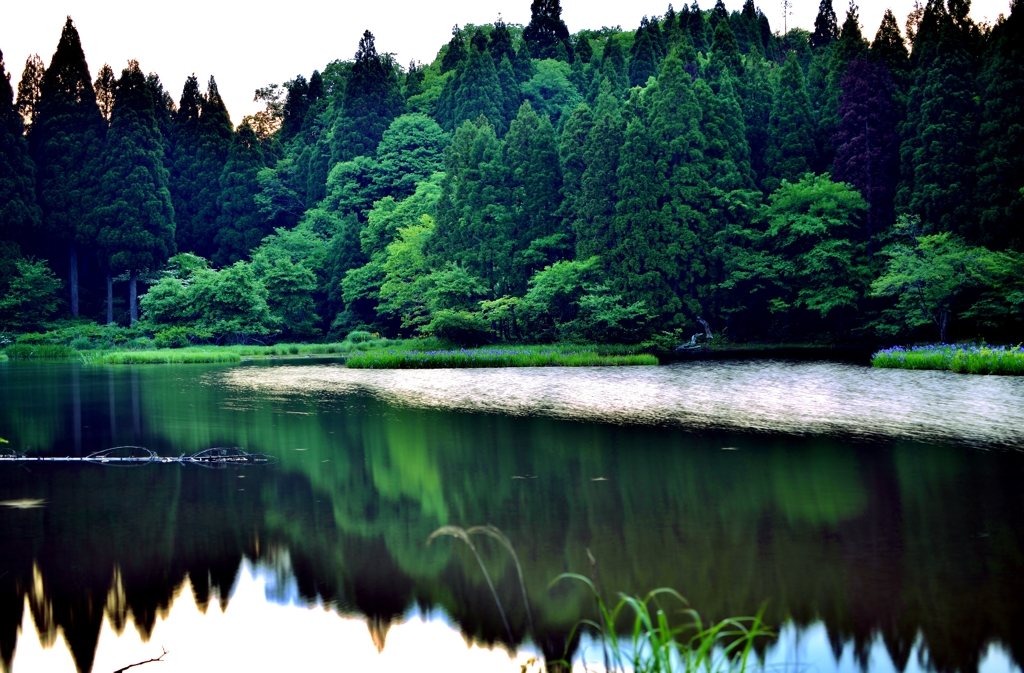 平池