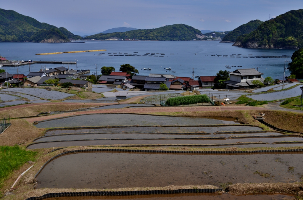 日引の棚田寸景 9 6 By 近江源氏 Id 写真共有サイト Photohito