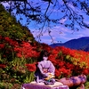ようこそ彼岸花の山里へ