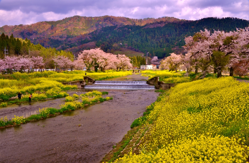 余呉川春景