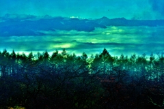 樹影雲海