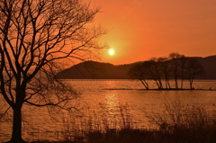 春の夕焼け