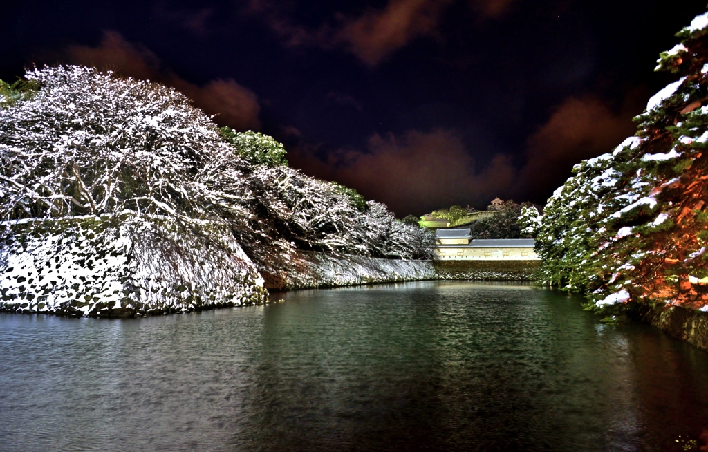 彦根城雪夜景　2-1