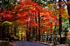 佛通寺紅葉　Ⅰ