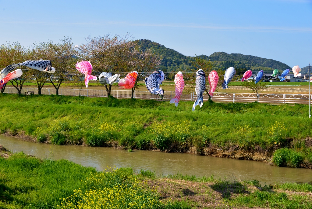 ふりふりダンス
