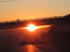 夕日に疾走