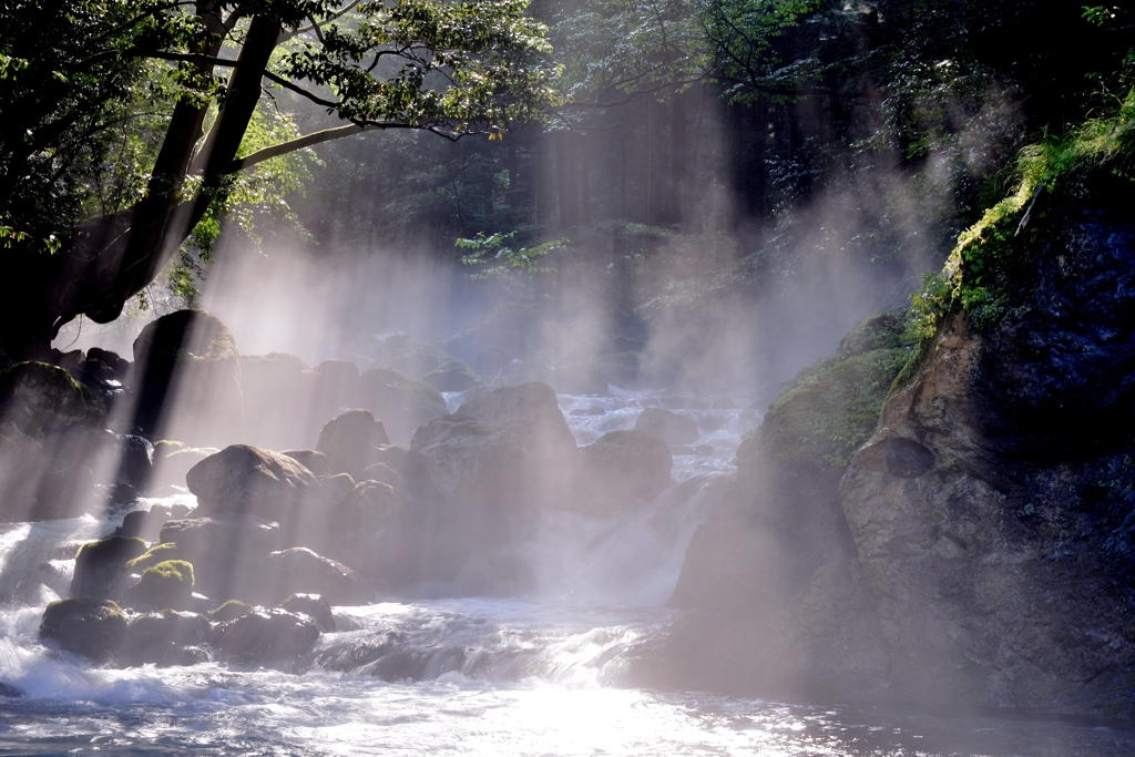 川霧の光