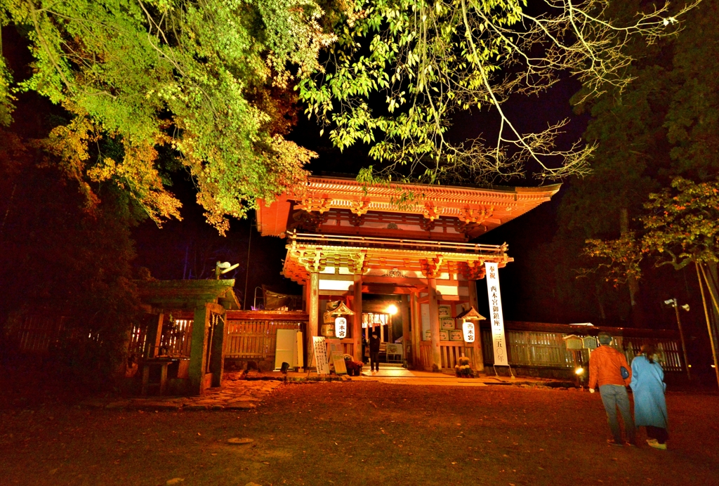 日吉大社紅葉ライトアップ　楼門