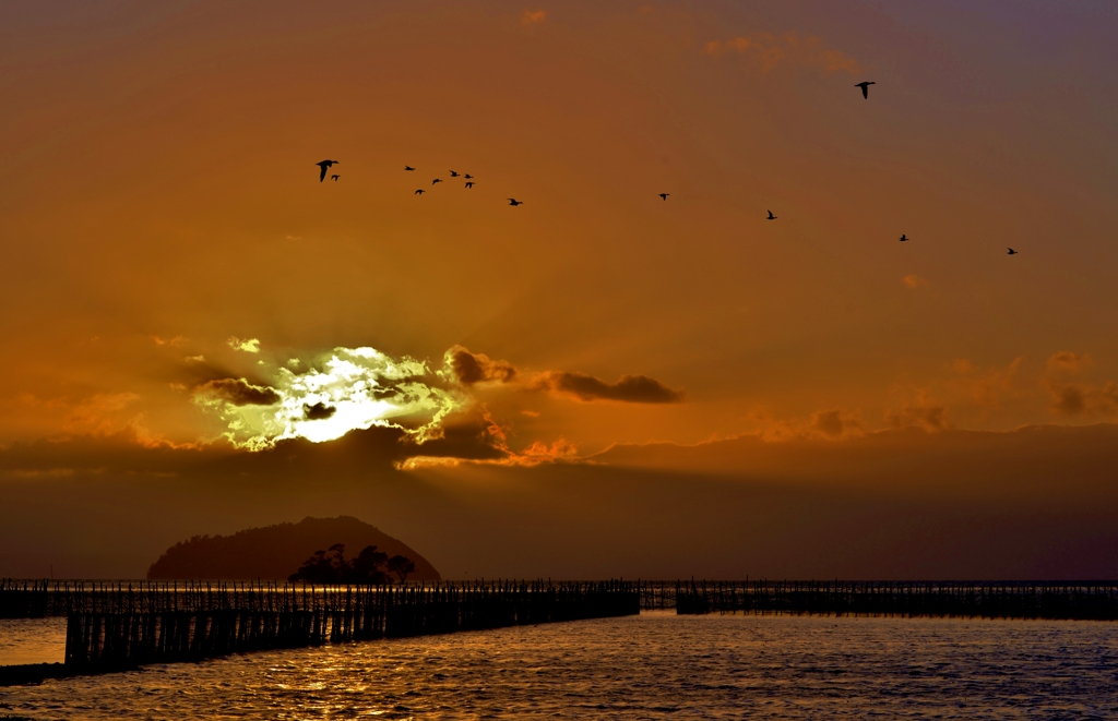 Evening view