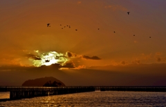 Evening view
