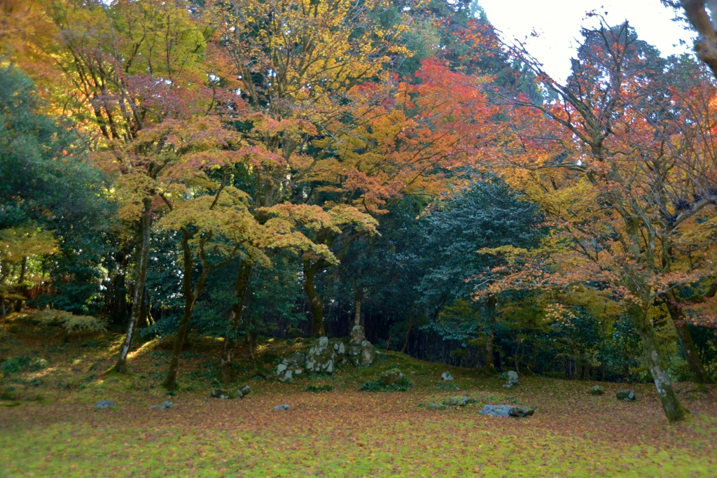 遠州流庭園
